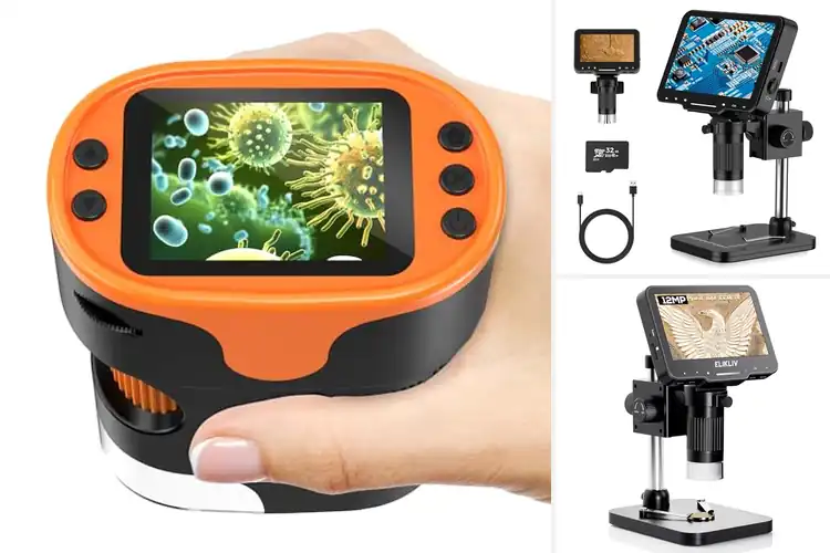 Detailed view of Best 1000x Magnification Microscopes
