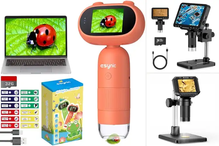 Detailed view of Best 1000X Magnifications