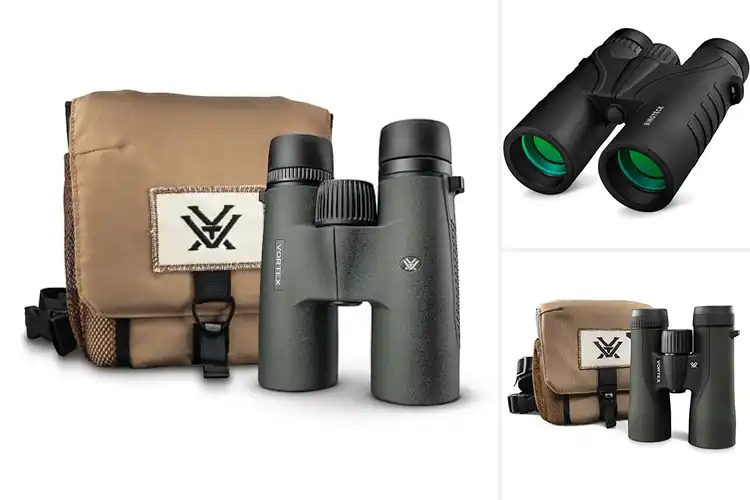 Detailed view of Best 10x Binoculars: Top Picks for Outdoor Adventures