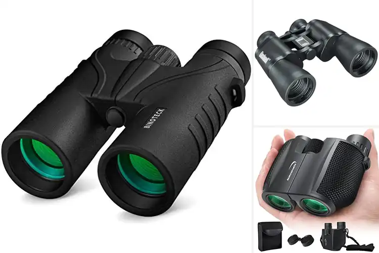 Detailed view of Best 10x Magnification Binoculars
