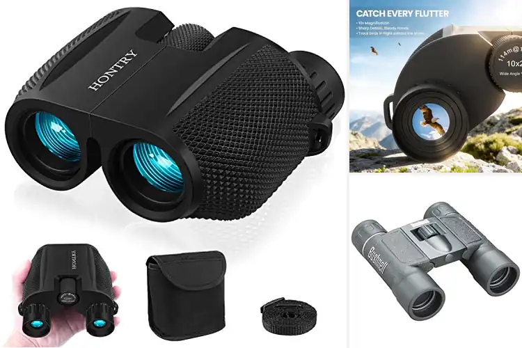 Detailed view of Best 10×25 Binoculars for Adults
