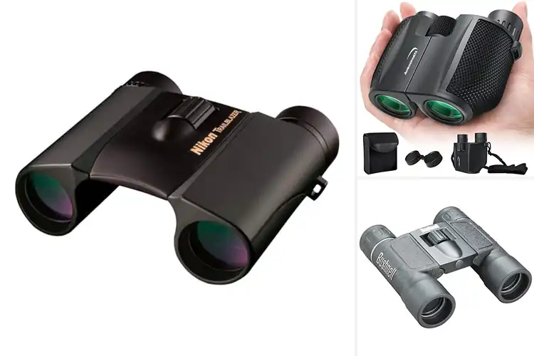 Detailed view of Best 10×25 Binoculars For Clarity: Top Picks for Sharp Views