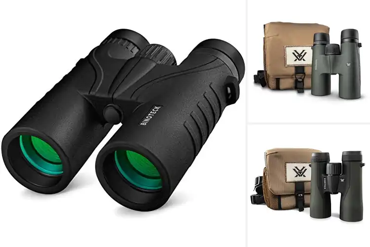 Detailed view of Best 10×42 Binoculars