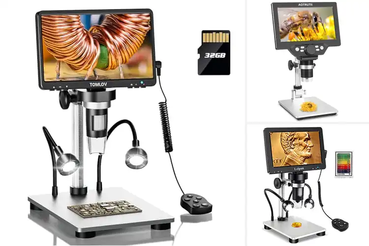 Detailed view of Best 1200X Magnification Microscope