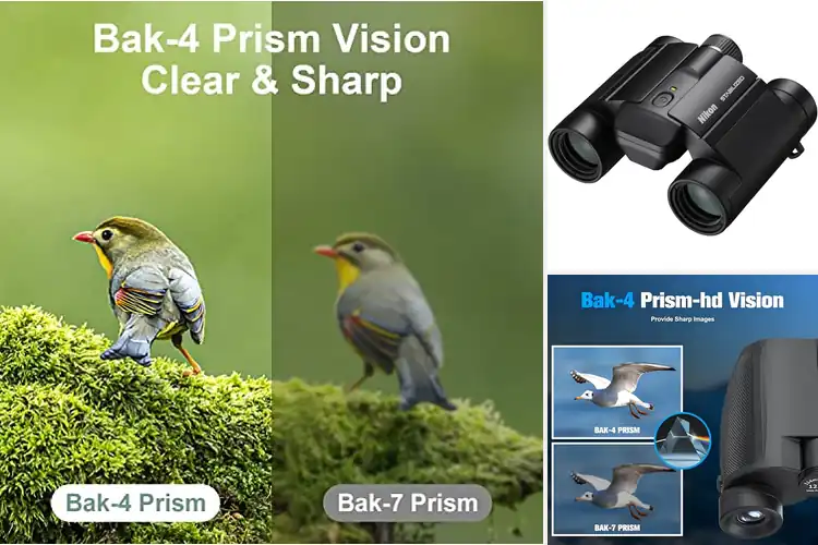 Detailed view of Best 12X25 Binoculars Clarity