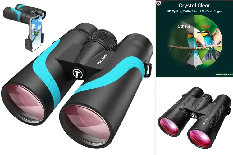 Detailed view of Best 15x Binoculars