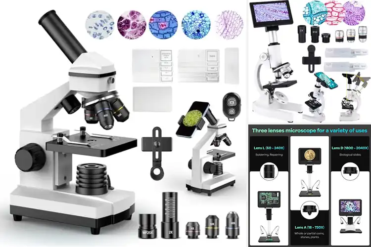 Detailed view of Best 2000X Microscope