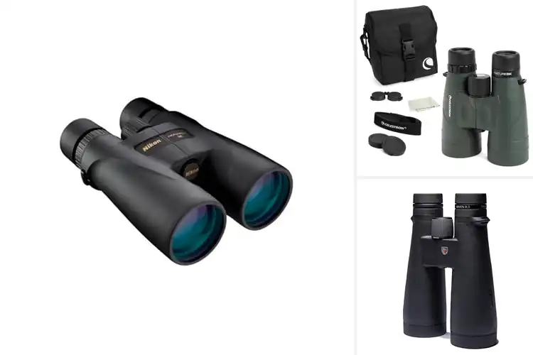Detailed view of Best 56Mm Objective Binoculars