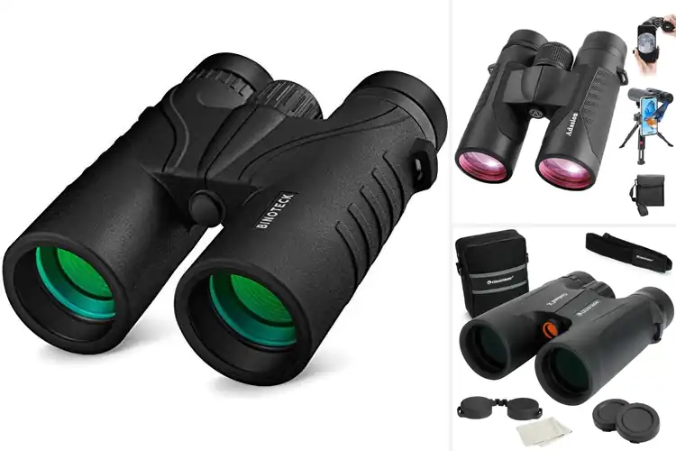 Detailed view of Best Bak-4 Prism Binoculars
