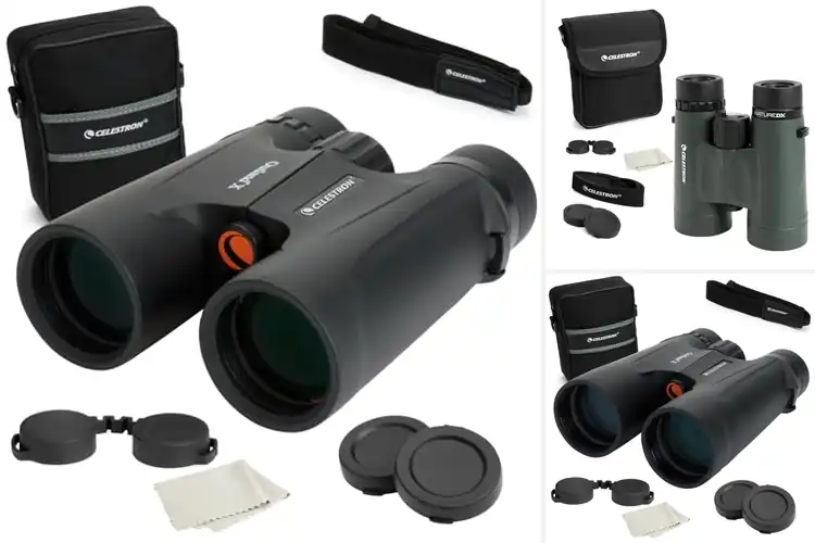 Detailed view of Best Bak-4 Prisms Binoculars For Bright Images
