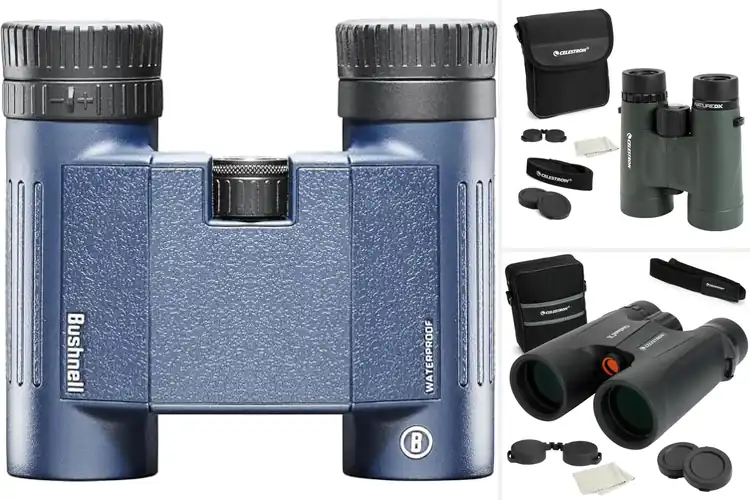 Detailed view of Best Bak-4 Prisms Binoculars
