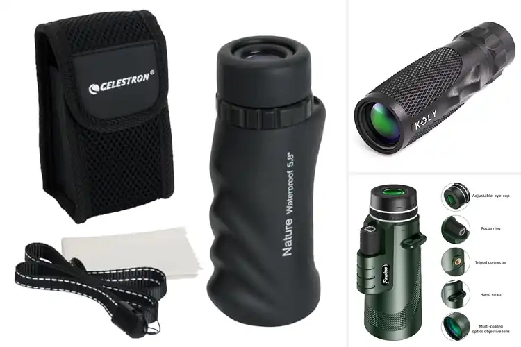 Detailed view of Best Bak-4 Prisms For Sharp Images