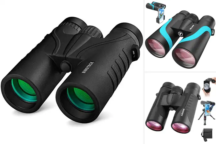 Detailed view of Best Bak4 Prism Quality Binoculars
