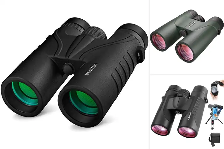Detailed view of Best BAK4 Prisms Binoculars