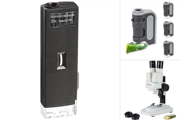 Detailed view of Best Battery Powered Microscopes