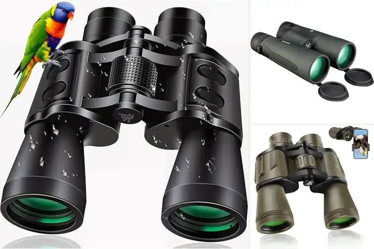 Detailed view of Best Big Game Binoculars