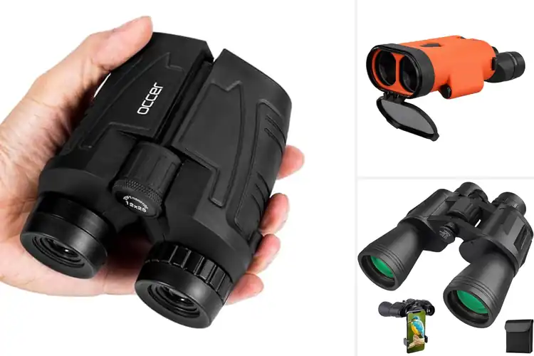 Detailed view of Best Binoculars For Adults