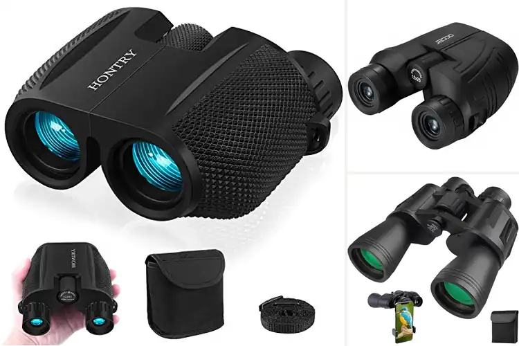 Detailed view of Best Binoculars For Bird Watching And Sports