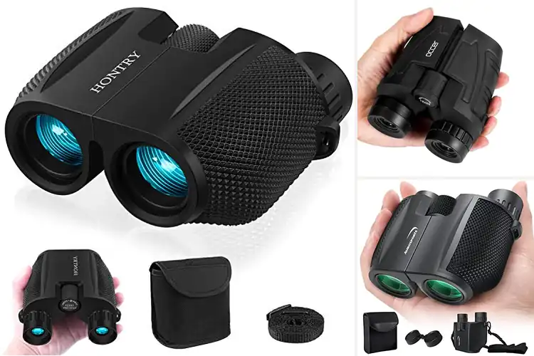 Detailed view of Best Binoculars For Bird Watching For Kids And Adults