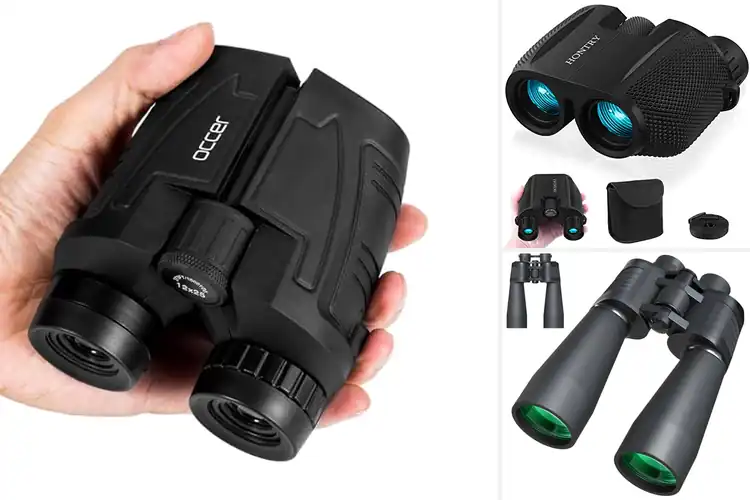 Detailed view of Best Binoculars for Bird Watching: Top Picks for Clear Views