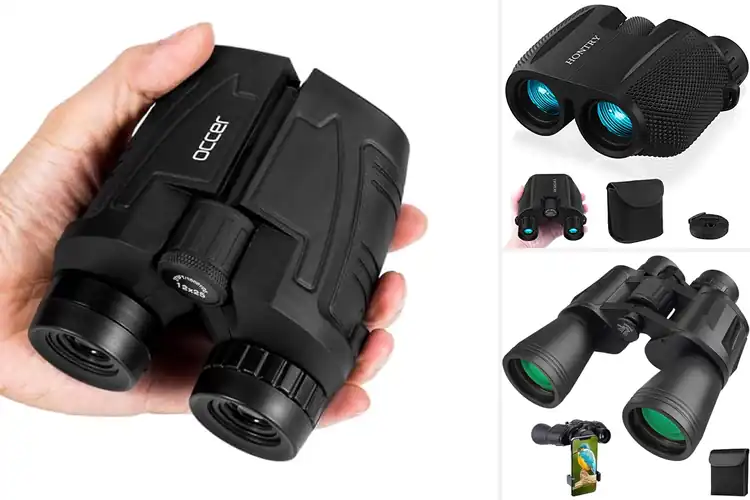 Detailed view of Best Binoculars For Bird Watchings