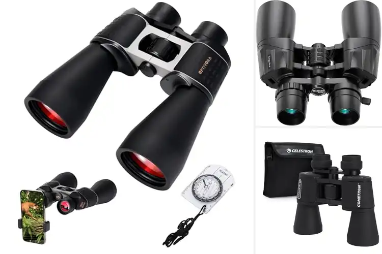 Detailed view of Best Binoculars for Birdwatching and Astronomy