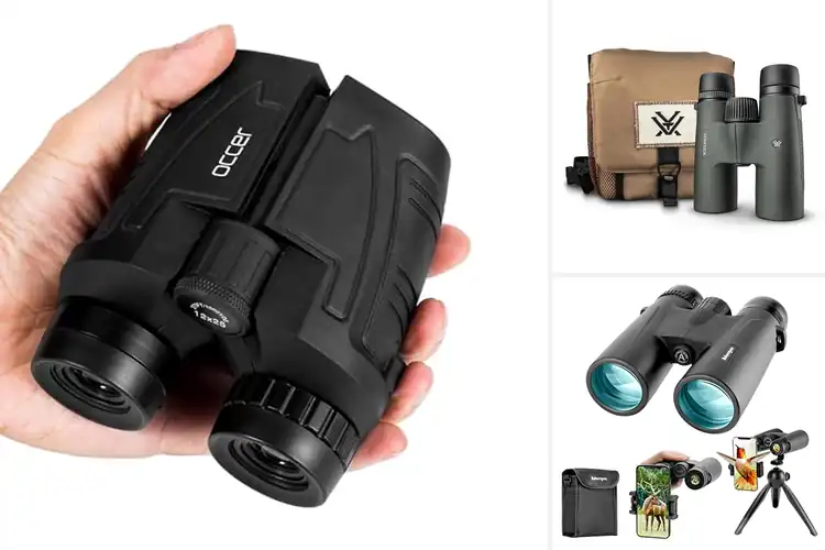 Detailed view of Best Binoculars For Birdwatching