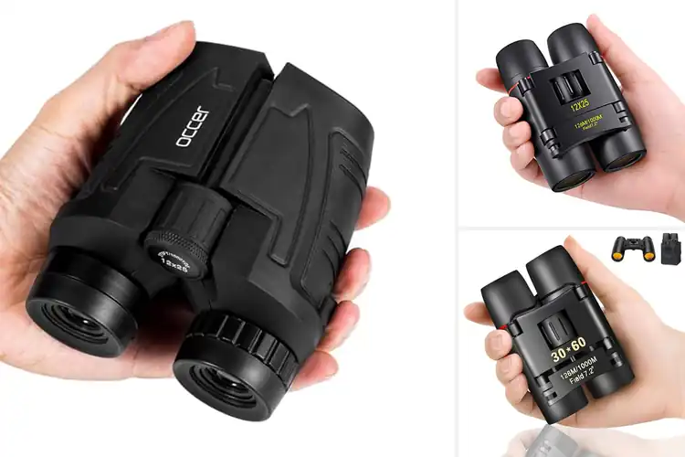 Detailed view of Best Binoculars For Campings