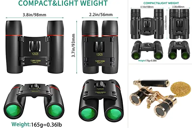 Detailed view of Best Binoculars For Concert Theater Opera