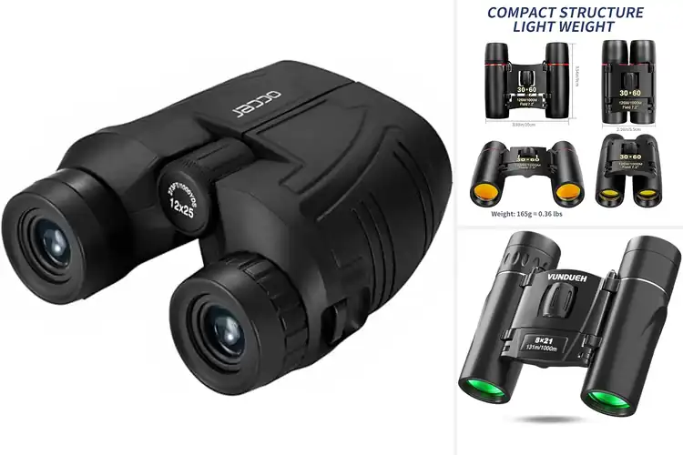 Detailed view of Best Binoculars for Cruise