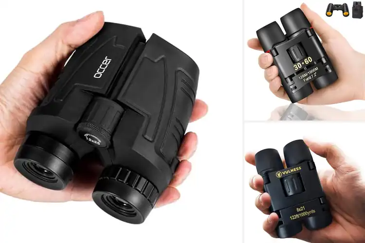 Detailed view of Best Binoculars For Cruises