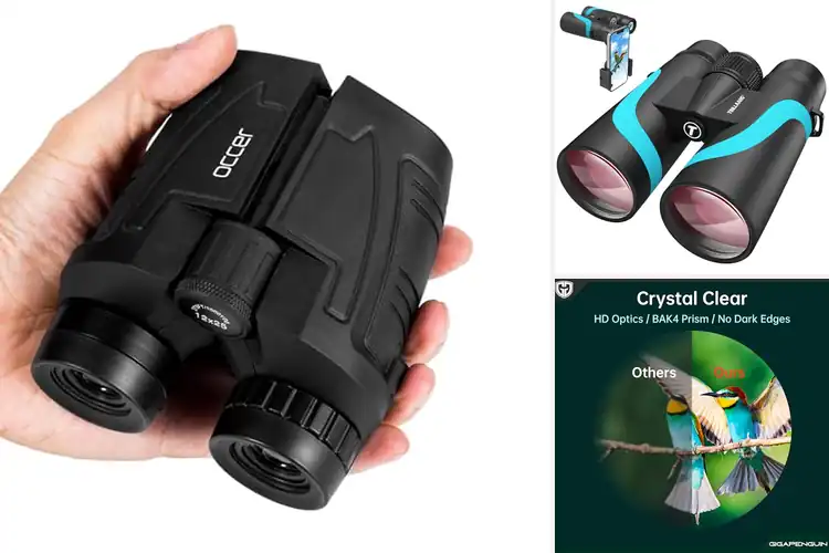 Detailed view of Best Binoculars for Eyeglass Wearers