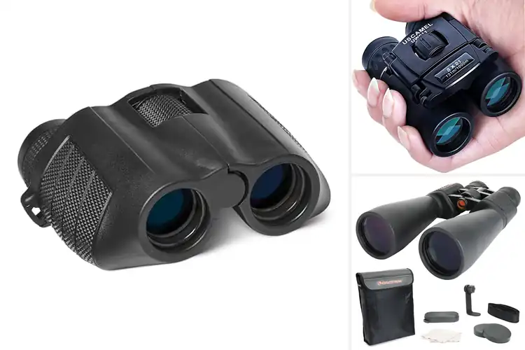 Detailed view of Best Binoculars For Family Use