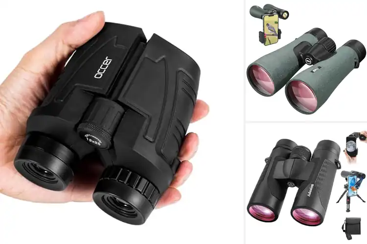 Detailed view of Best Binoculars For Hunting And Bird Watching