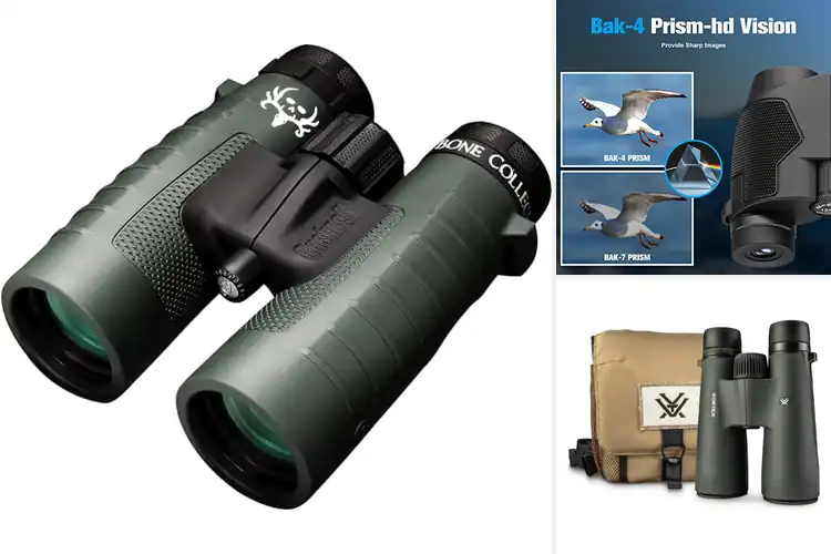 Detailed view of Best Binoculars For Hunting Games