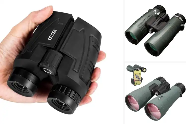 Detailed view of Best Binoculars For Hunting