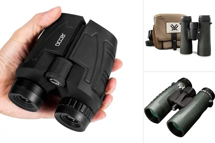 Detailed view of Best Binoculars For Huntings