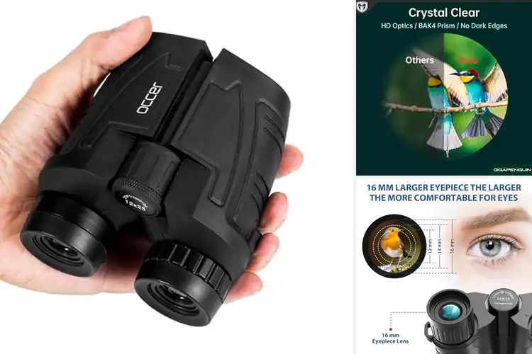Detailed view of Best Binoculars for Low Light