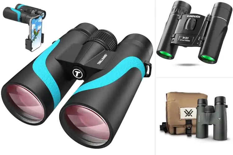 Detailed view of Best Binoculars for Men: Top Picks for Adventure & Clarity