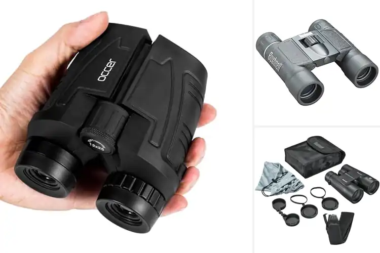 Detailed view of Best Binoculars for Outdoor Adventures