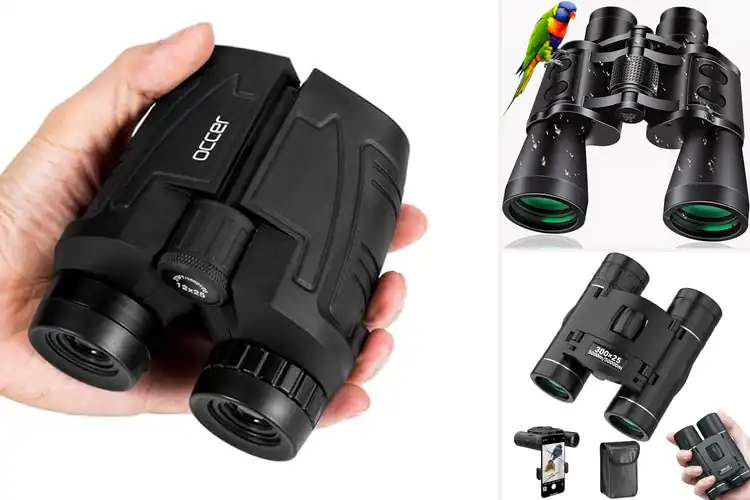 Detailed view of Best Binoculars For Sightseeing