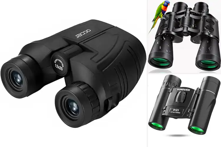 Detailed view of Best Binoculars For Sightseeings