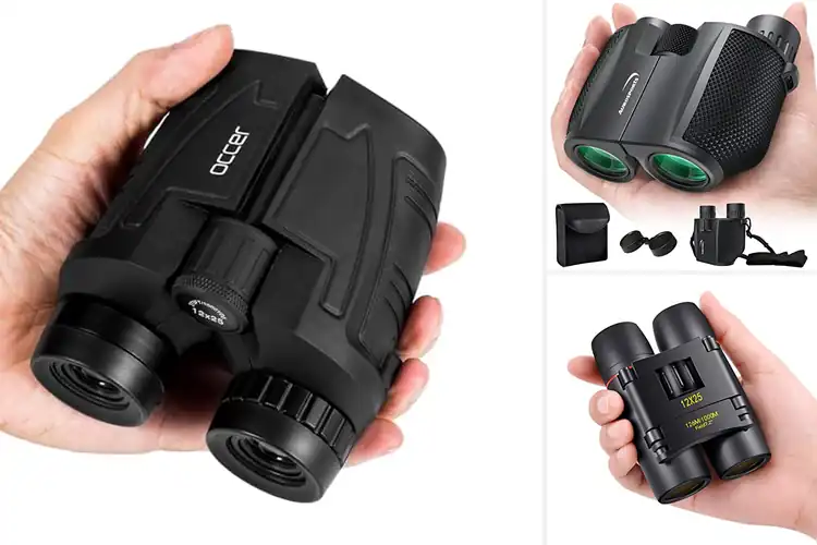 Detailed view of Best Binoculars For Travels