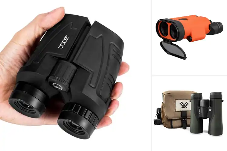 Detailed view of Best Binoculars: Top 10 Picks for Amazing Outdoor Views