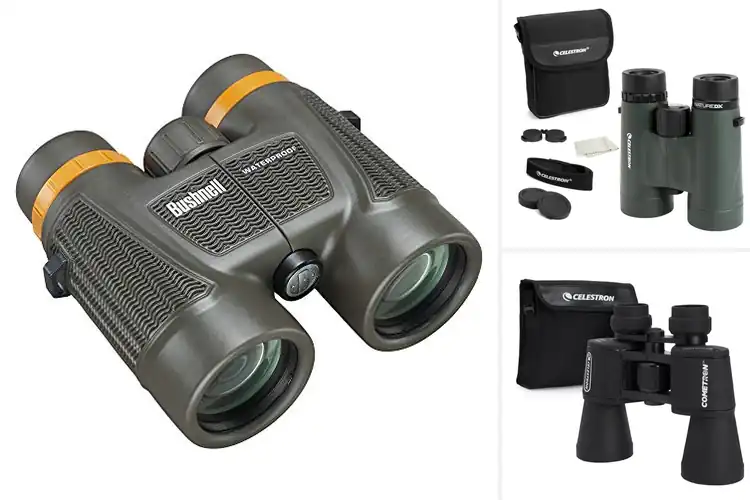 Detailed view of Best Binoculars With Fully Multi-Coated Lenses