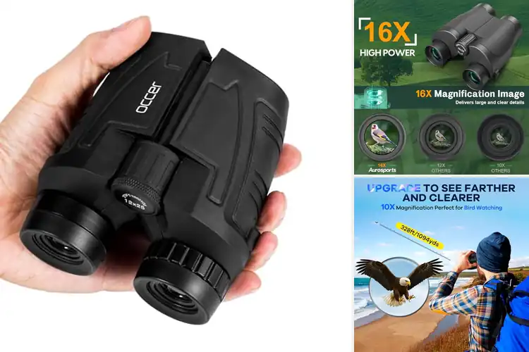 Detailed view of Best Binoculars with Low Light Vision