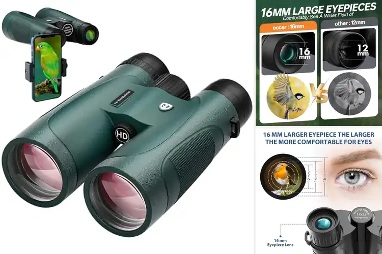 Detailed view of Best Binoculars with Low Light Visions