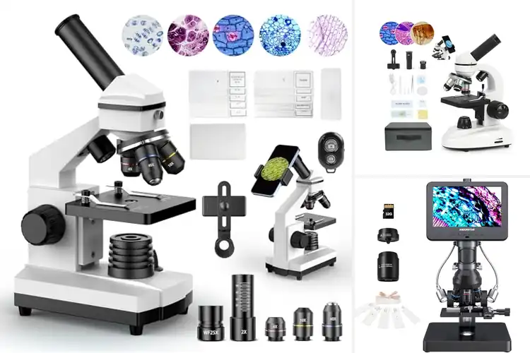 Detailed view of Best Biological Microscopes