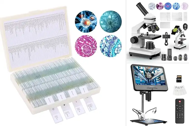 Detailed view of Best Biological Slide Microscopes: Clear, Low-cost, Try It