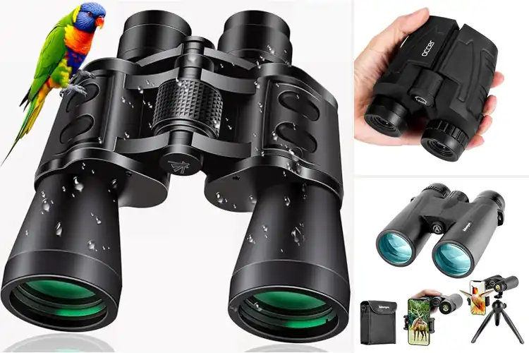 Detailed view of Best Bird Watching Binoculars For Wildlife